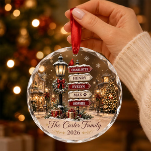 Personalized Family Street Sign Glass Ornament Christmas Gift