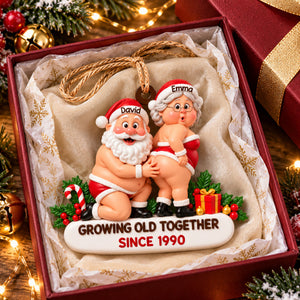 Custom Funny Wooden Ornament - Personalized Anniversary Christmas Wedding Gifts