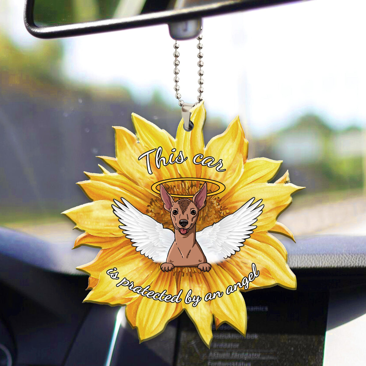 Mexican Hairless2 Car ornament